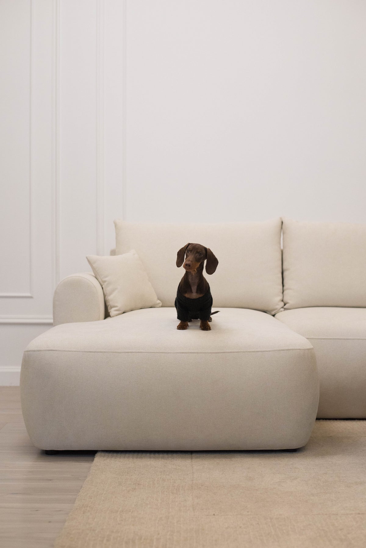 Canapé d'angle avec fonction couchage Ovo mini en L, côté gauche, avec rangement, en chenille crème facile à nettoyer