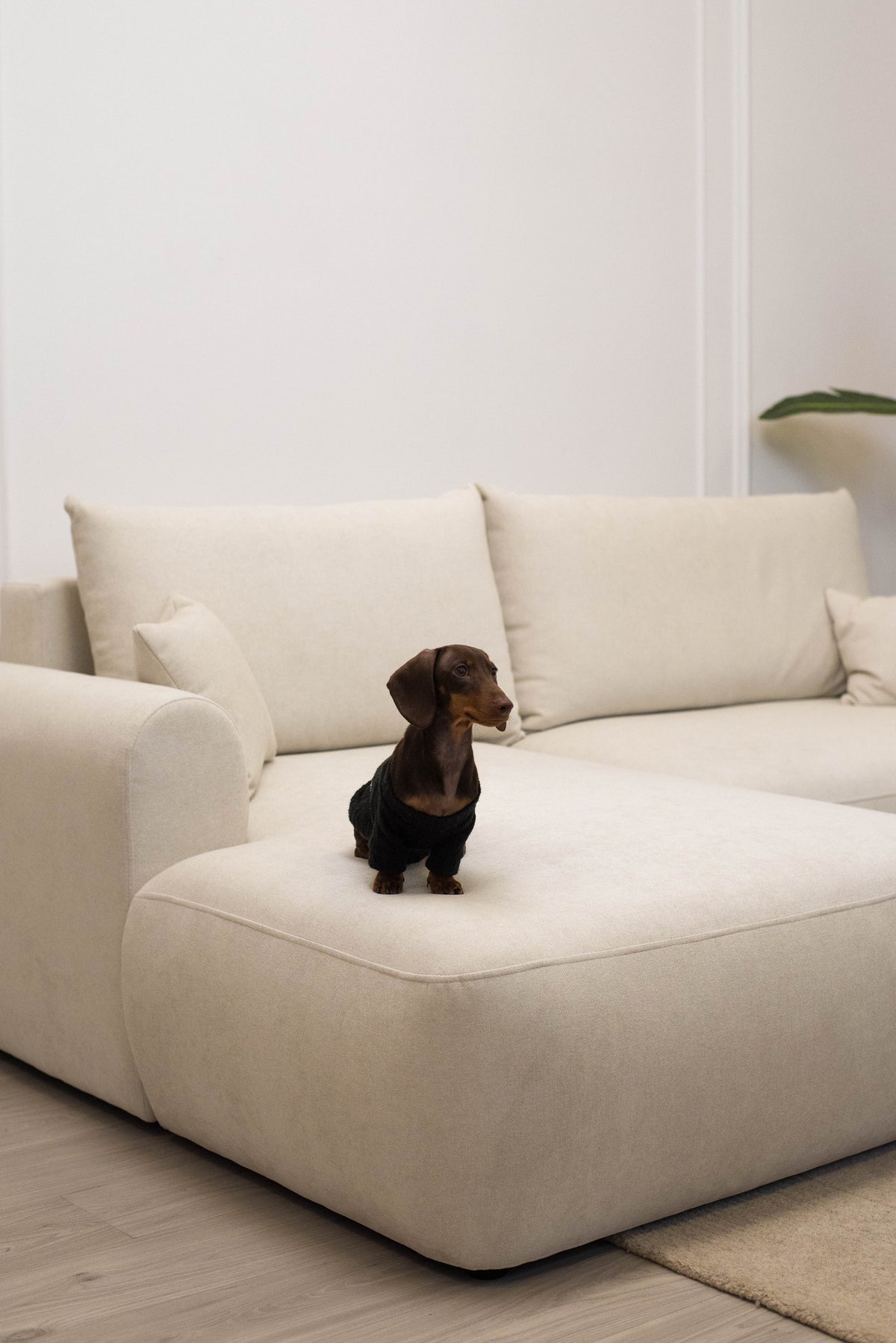 Canapé d'angle avec fonction couchage Ovo mini en L, côté gauche, avec rangement, en chenille crème facile à nettoyer