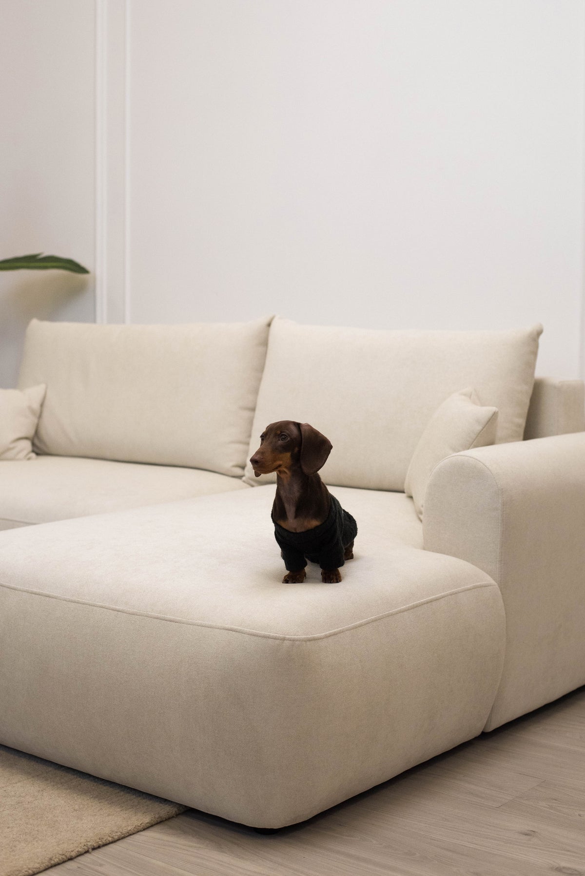 Canapé d'angle avec fonction couchage Ovo mini en L, côté droit, avec rangement, en chenille crème facile d'entretien