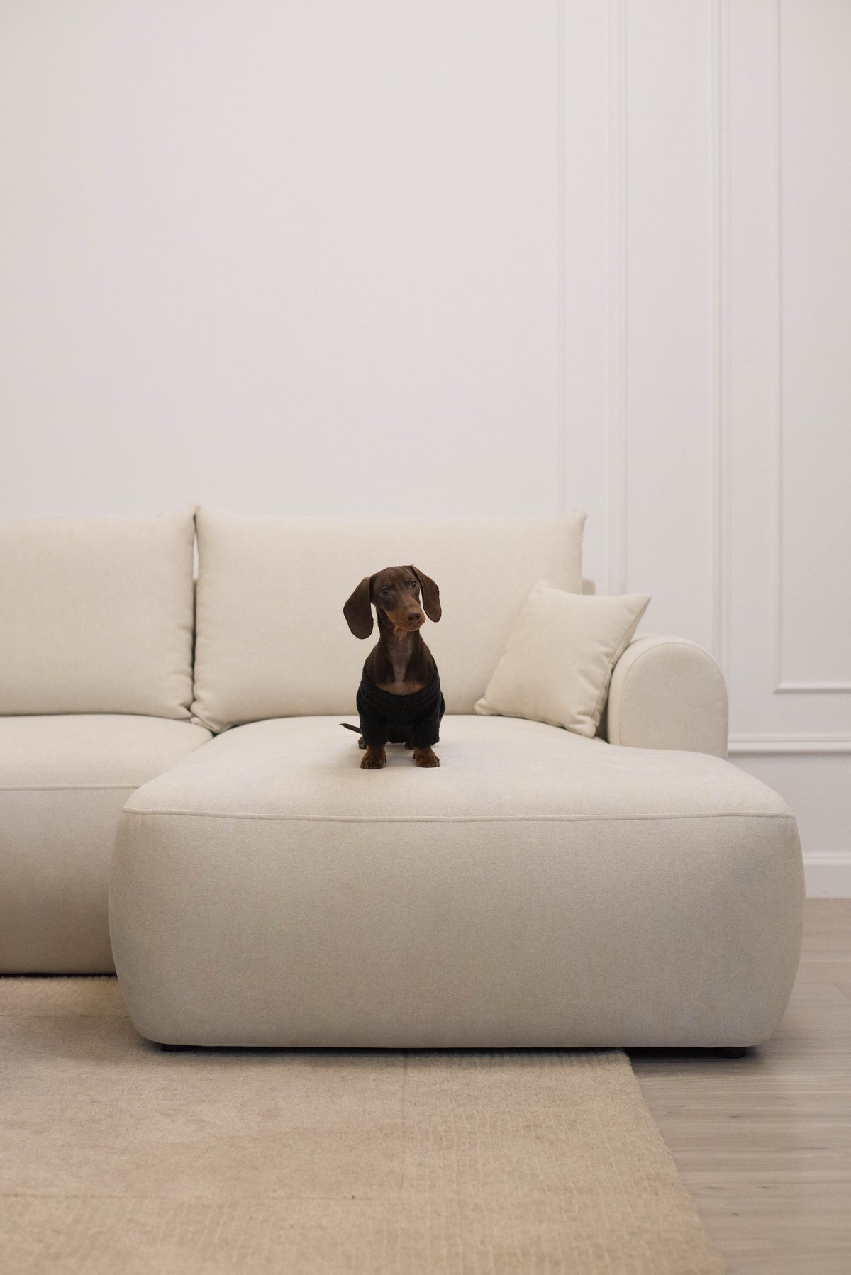 Canapé d'angle avec fonction couchage Ovo mini en L, côté droit, avec rangement, en chenille crème facile d'entretien