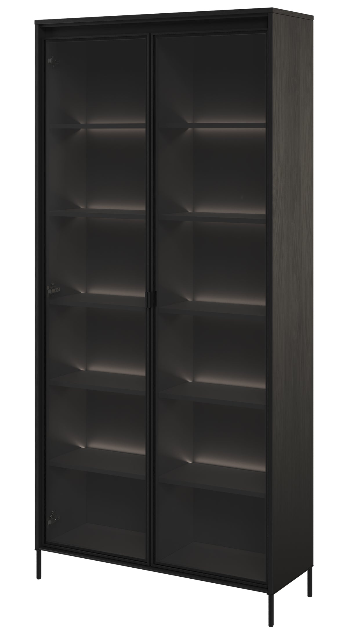 Zweiflügeliger Trend-Schrank 92 cm mit LED Schwarz