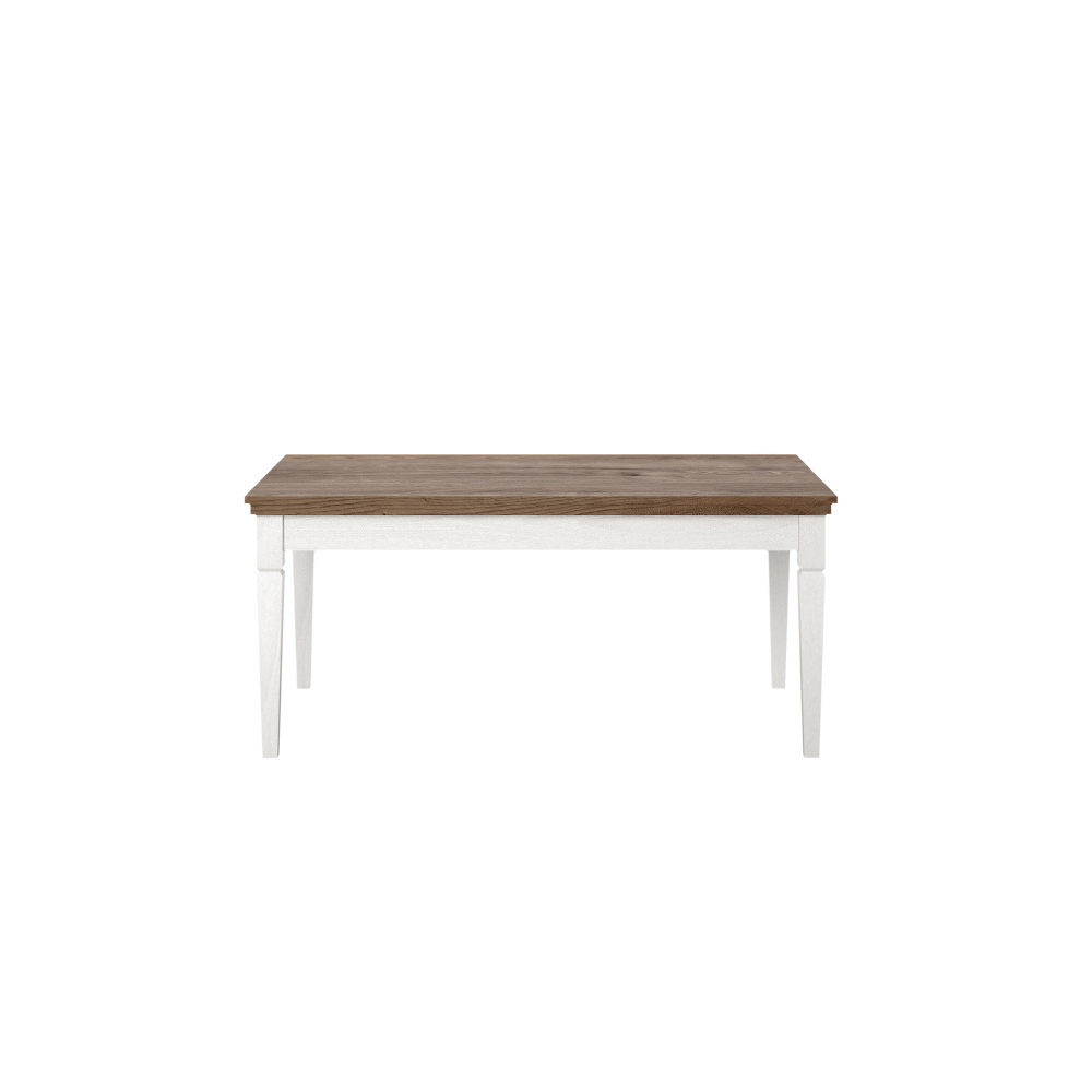 EUGLIA Table basse 110x60 cm cendre Abisko avec plateau chêne Lefkas