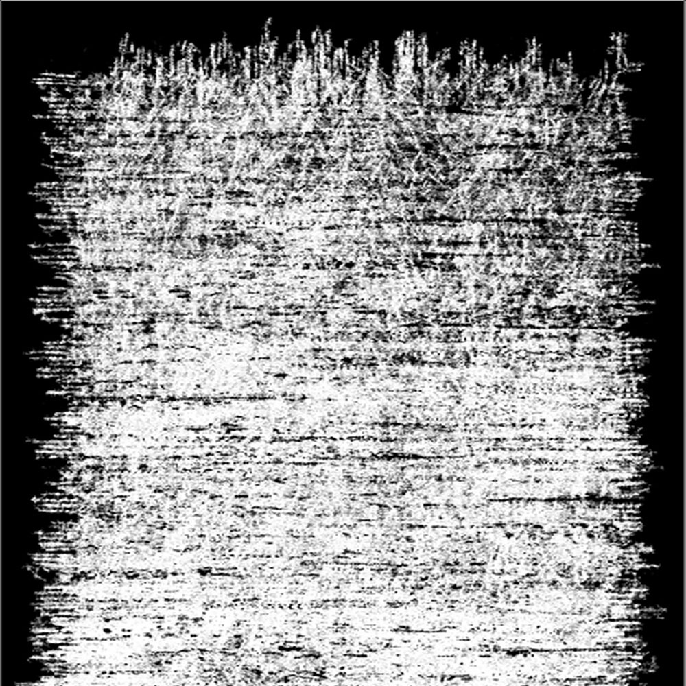 Tapis moderne Terwovers 180x280 cm blanc et noir