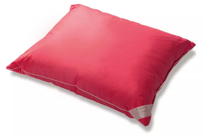 Oreiller en mi-duvet d'oie