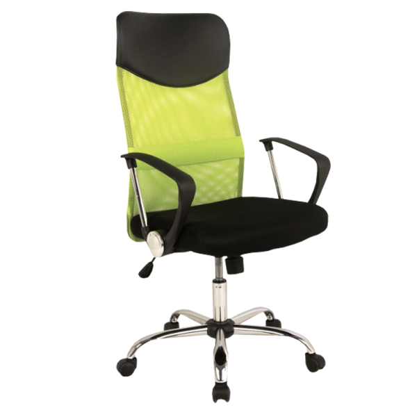 Chaise de bureau Rens vert et noir