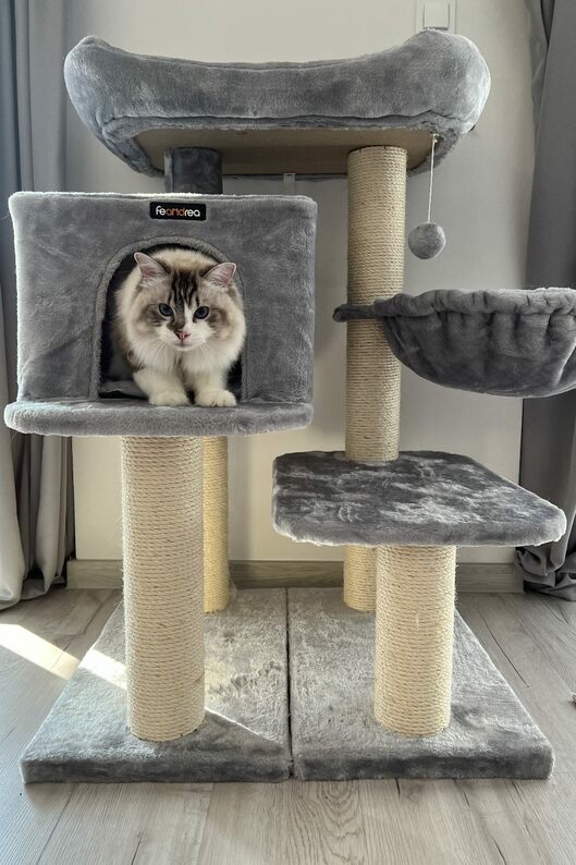 Griffoir pour chat Meowgaret gris clair