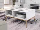 Table basse Darrby 90x60 cm blanc/blanc brillant avec pieds dorés