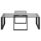 BANJOLE Ensemble de deux tables basses verre fumé