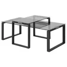 BANJOLE Ensemble de deux tables basses verre fumé
