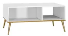 Table basse Darrby 90x60 cm blanc/blanc brillant avec pieds dorés